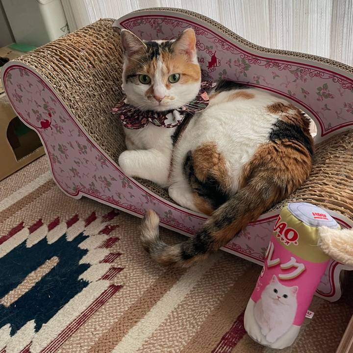 93dfac86 9953 4d64 99ea 7fb65b4b7fce 1745638627835