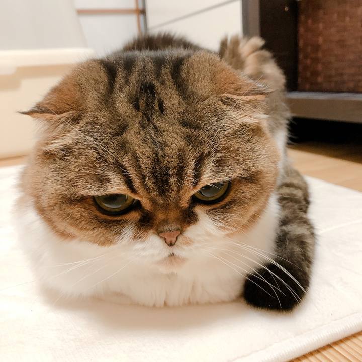 93e02212 c781 4000 a3c3 67765995436b 1584621802457