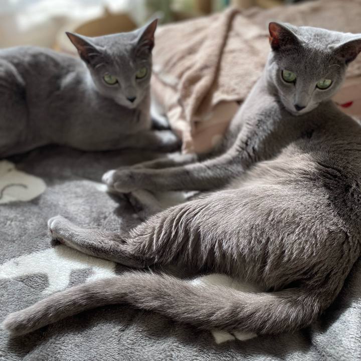 93e045b6 5970 4c28 960b 238140fa5275 1643597697125