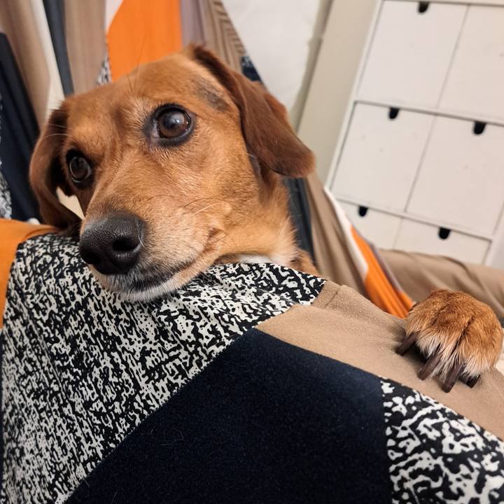 93e0acca 3f1a 40d3 acc0 26fc843a3292 1765111123809