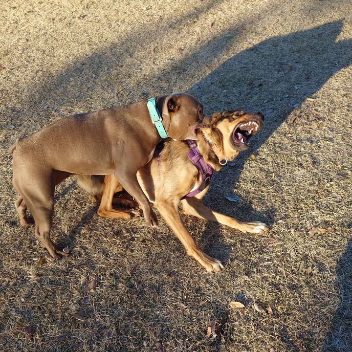 93e13eb1 e58c 4daf b0a0 e106ec542c53 1734257867533