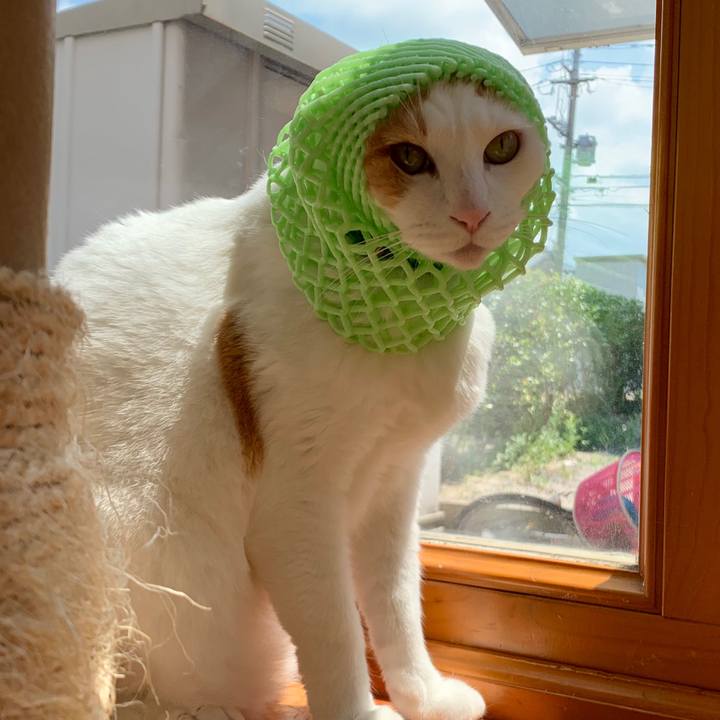 93e15b52 e878 4fe5 ba6b b6330f4b0a82 1566025698321