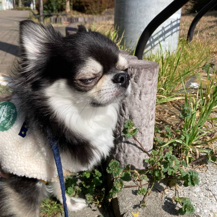 93e18795 0e1a 4010 bc29 ca8e58d494ad 1676177522500