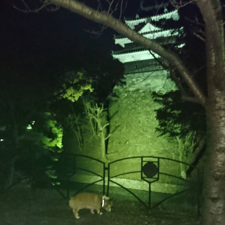 93e195da 3d68 4aff a626 85213f33b4e8 1605269361929