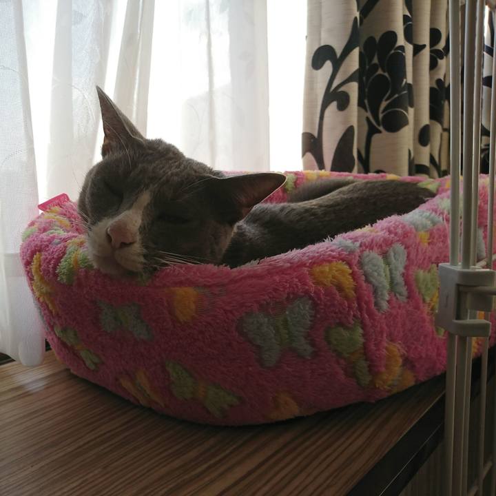 93e1f536 f35b 48b1 bb4a 56b965644898 1508919642214