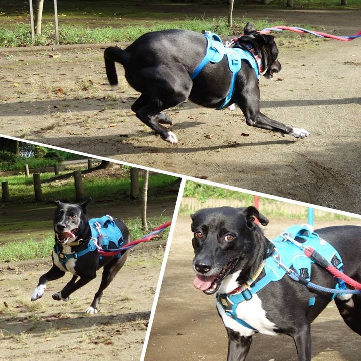 93e20212 d393 4af9 a76c 2c47d42eefb3 1631493568477