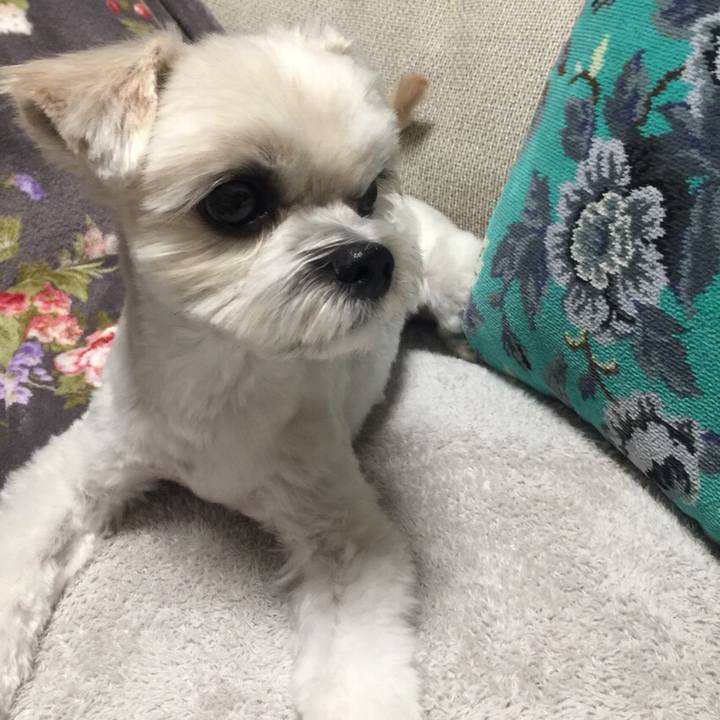 93e226e7 e661 459e a55d 32dedae943b8 1510061036725