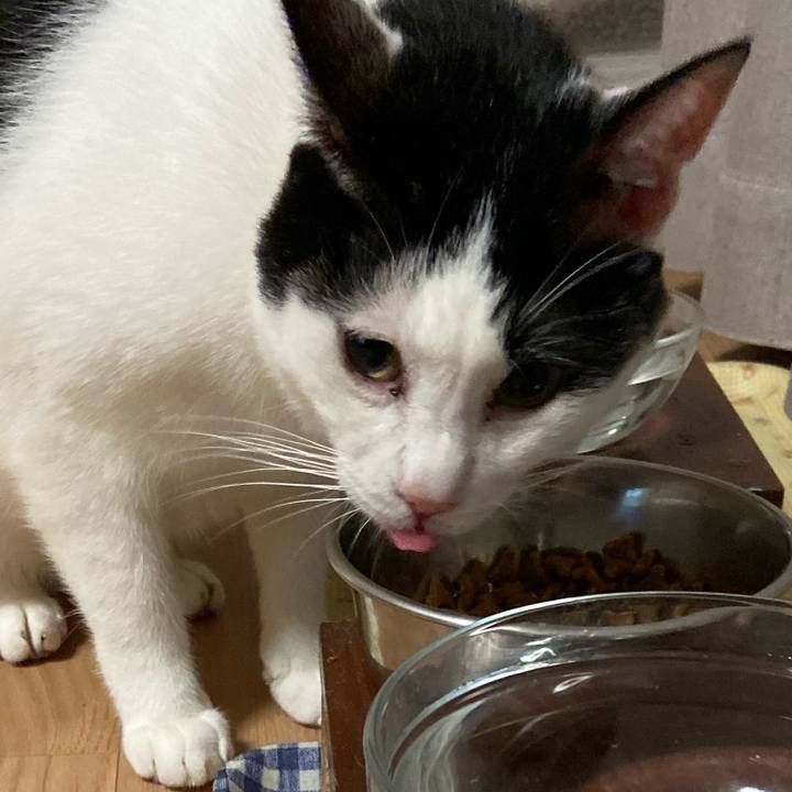 93e23bd1 c09f 4496 94ac 9581304d597b 1574592522031