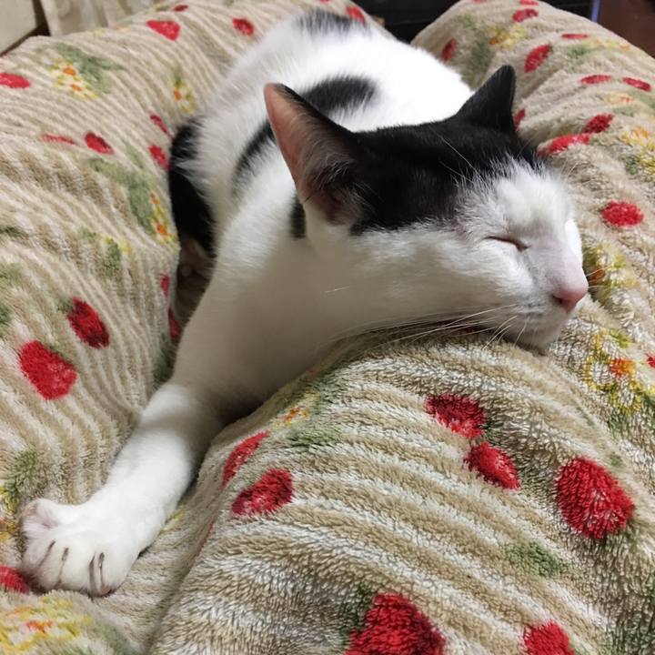 93e2476f 5d75 4108 9d3c 098fb80dd857 1543248657002