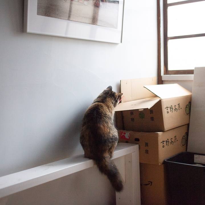 93e27936 e5a8 4ed7 92b7 9e36d0abb55e 1575424284859