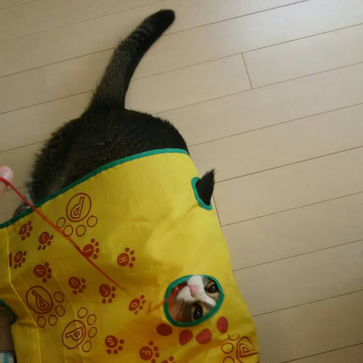 93e29b4d 3e24 4203 b349 04f9e79bc245 1547465579652