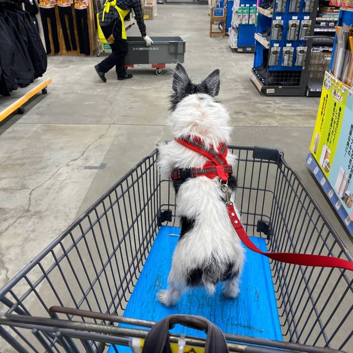 93e29d49 5fdf 4e4c ac8b 90dc2a4204a6 1610195330087