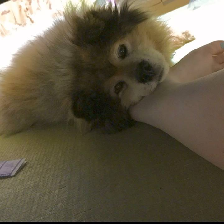 93e2bd76 46a5 4f51 ba44 481f23b1e97f 1582617069347