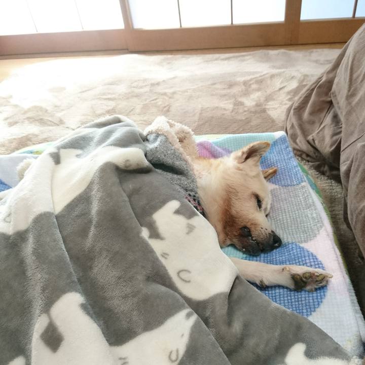 93e33a53 08ff 4a83 8bbe 77b55d60cfb5 1546821266687