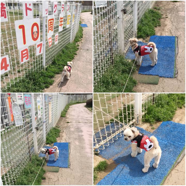 93e3647c b529 46d8 9df4 c8ae0a571d5e 1553237632163