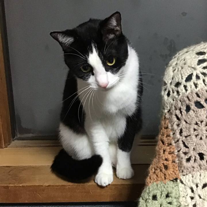 93e37ad2 199c 4aed b7dd a037ddfc7605 1730801032782