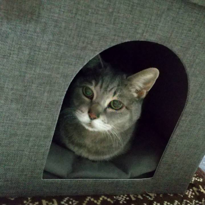 93e3a80d 9628 4c11 802c 972c61748768 1679703085272