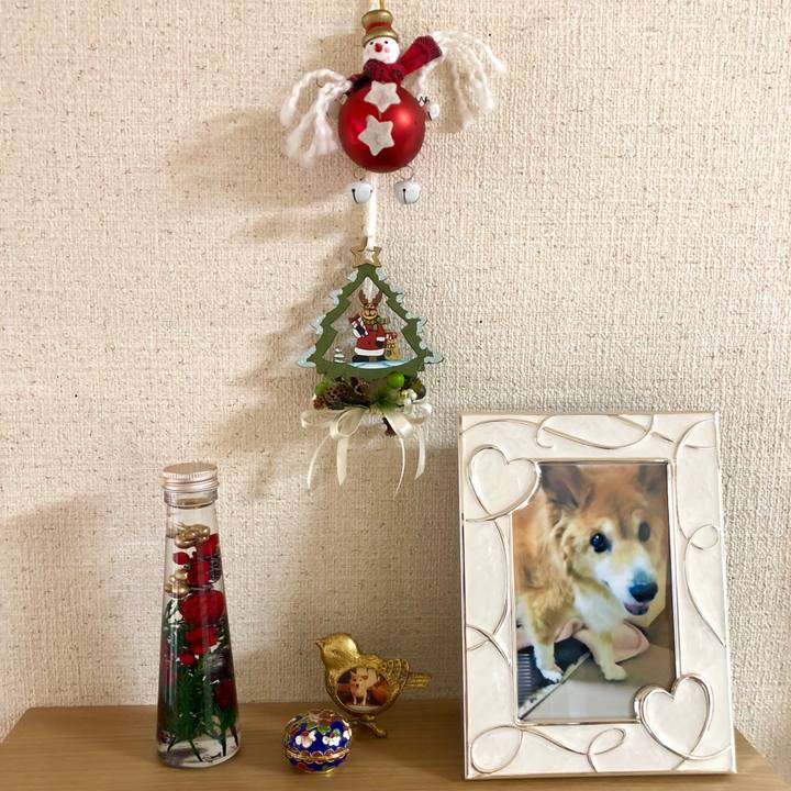 93e3a900 ee7f 41ab 97b0 2ff05593e5b4 1514076288101