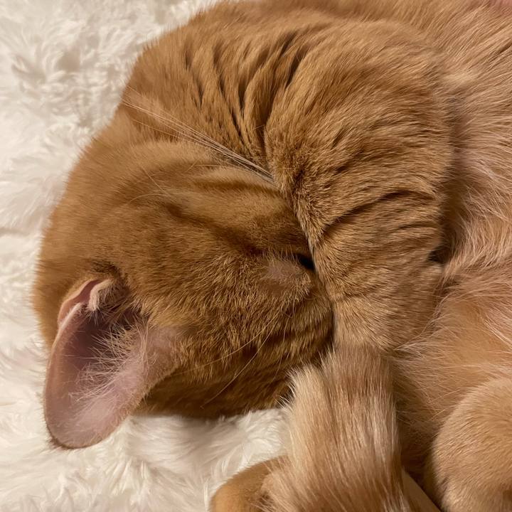 93e3b78c e0ee 4783 b9d2 8c17b9442930 1762942122219