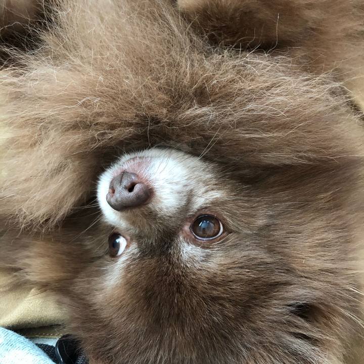 93e3d7ab fce4 41f1 8b30 7b5af51361af 1615077432503