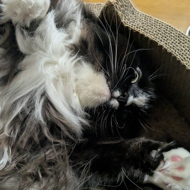 93e3f037 2ce7 4af0 9fc9 d34a7eecb4ed 1756381049542