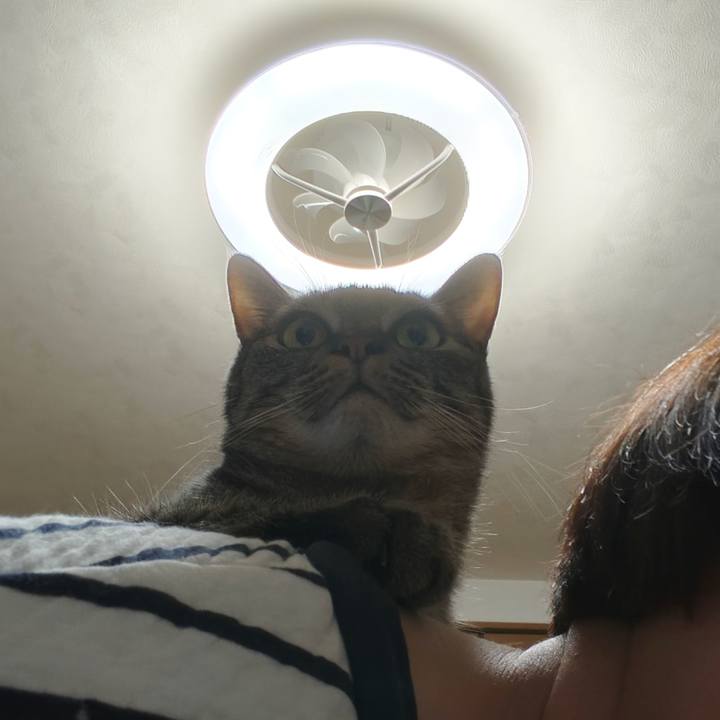 93e3f478 e7b1 48d8 a60d f4cefce9de22 1773016357531