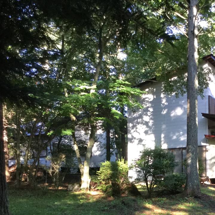 93e3fcc9 b590 4230 a478 1e6127e24dfe 1565217669310