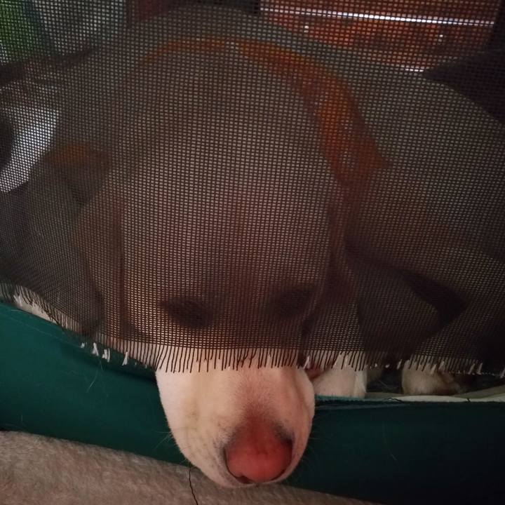 93e43665 1b9e 4505 bda6 72a78b65ae1e 1555778423691