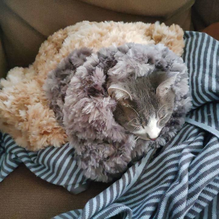 93e4533e c26f 402b 94d3 d3c8621ef4e4 1666861926704