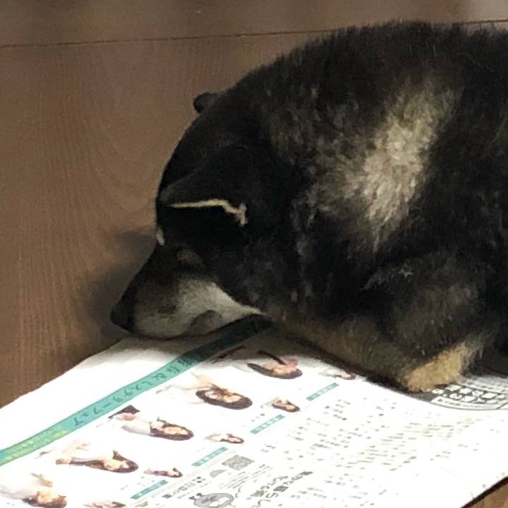 93e460b4 c10b 465f 958c 891b8a5081c9 1562639787402