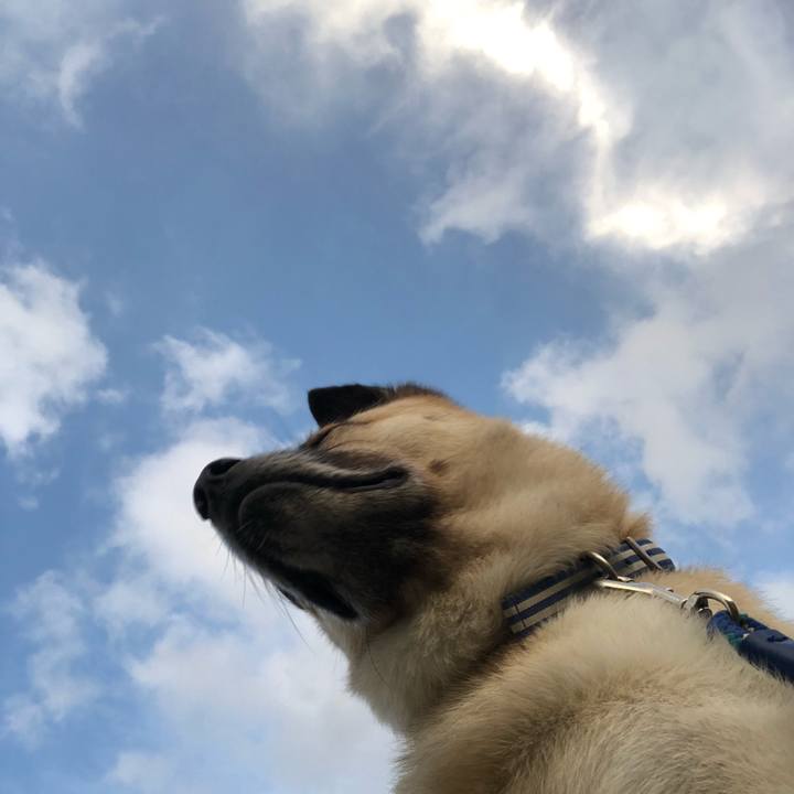 93e4e293 9fb1 4ca3 8578 4da636231d5b 1628596221931