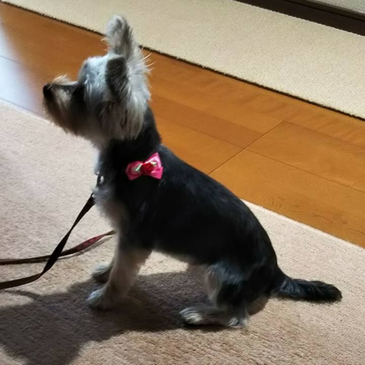 93e5029f 4fb1 4ba3 8dac 97f9b33562de 1543464738819