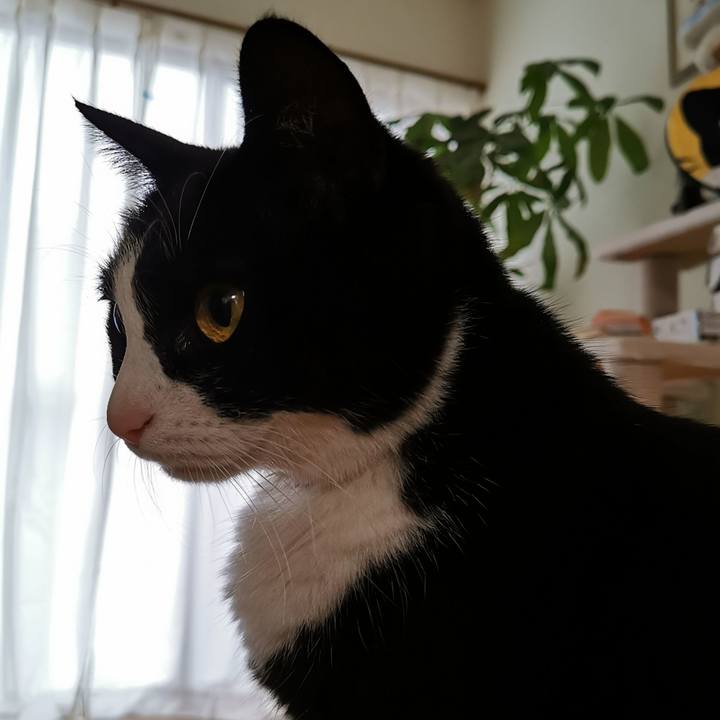 93e5069b 2a6a 4d84 824b 02df83225adc 1674964788066