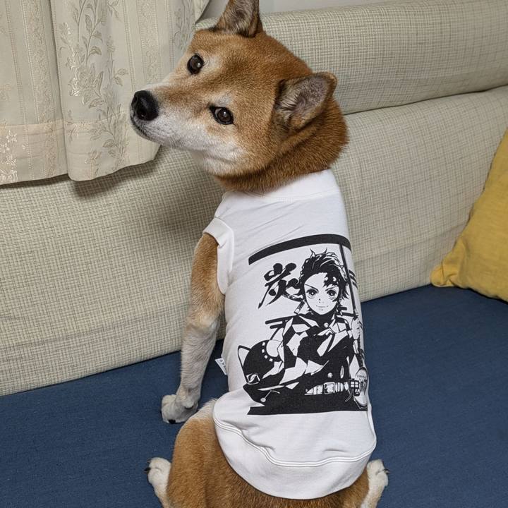 93e5493d 9298 4564 993a 34282ba84b74 1731319676056