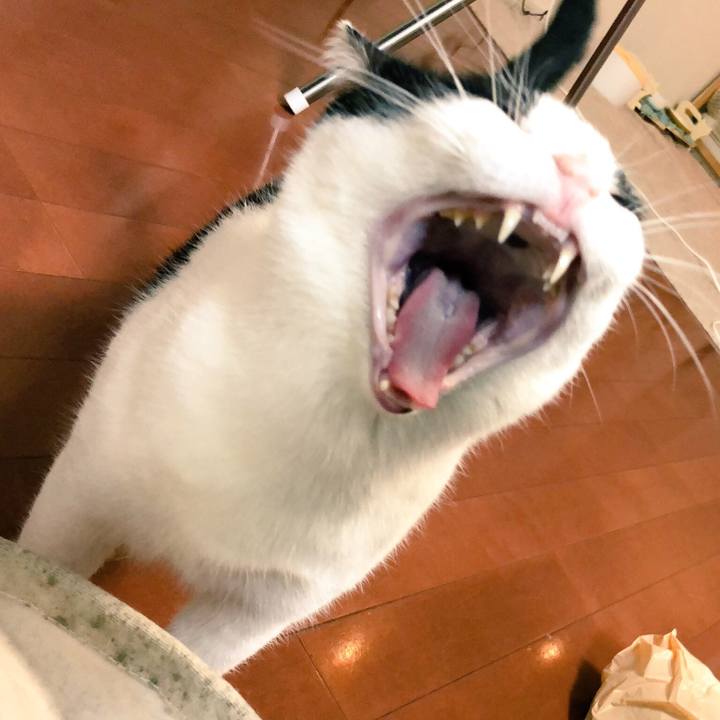 93e554e2 f70f 4415 90f8 a57c75ea24fc 1520429039373