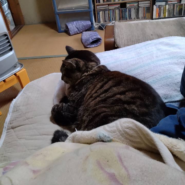 93e5c50b 7983 44b3 97a6 3462e4e842a9 1746654999236