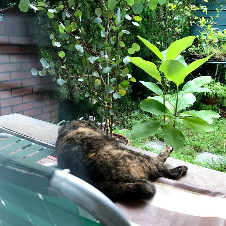 93e5f963 0b57 4eff 90ea 7bc36c5fa5dc 1531289166337