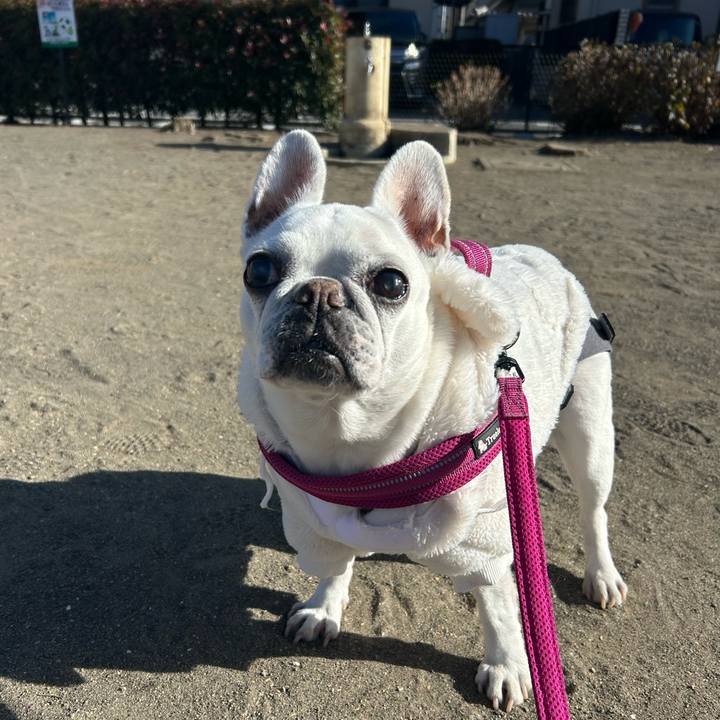 93e60c37 282c 407d ae51 061d7333fb1c 1735353537115