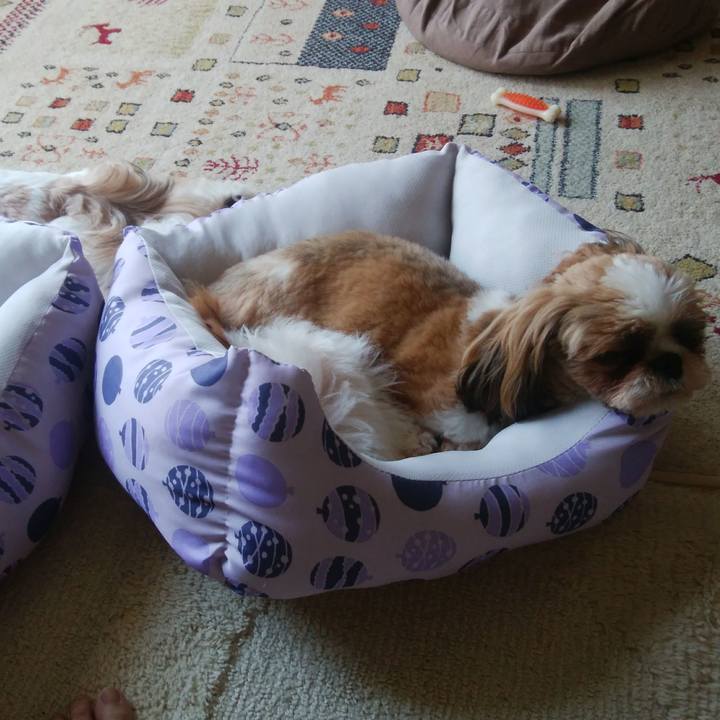 93e65e2f 367f 4fa1 8af7 8d833ac95f5c 1564453896833