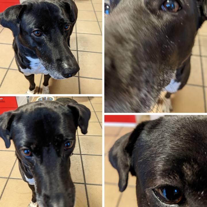 93e684ea b621 4fe9 ad87 571ec9e3d8d8 1650190463797