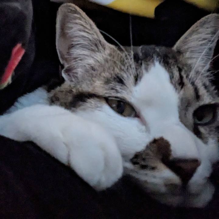 93e68676 56bd 4280 b782 abaf6c79d1d8 1739669332077