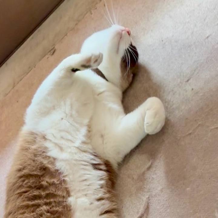 93e6bd3f 13f6 4e99 ae5d 4fd31056d507 1746241086922