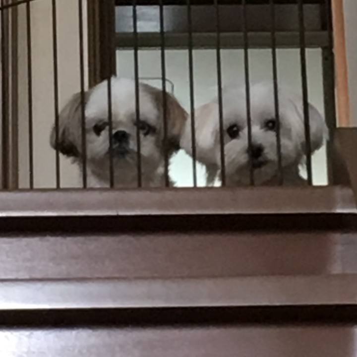 93e6d104 adec 4955 9c45 dbaed323f068 1535457911336