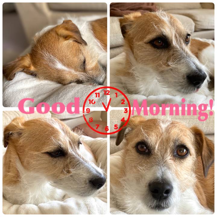 93e6d801 195a 4824 b9e3 0b95e6845350 1586570759094