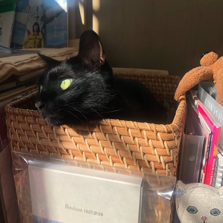 93e6e819 5585 4aea b416 6506f3196f69 1669269916994