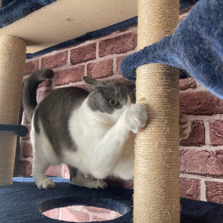 93e7131d 839b 460f a2e7 c46e0c9a9161 1667690286857