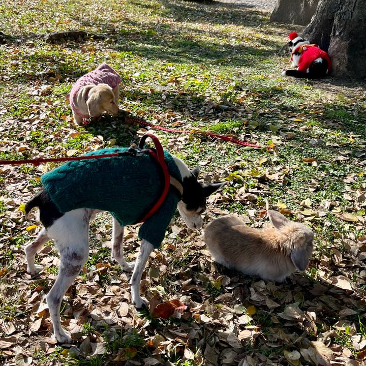 93e71f4b c468 45f1 b8b7 8b1248c38725 1638069296669