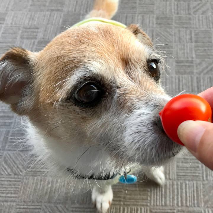 93e7215c 0b7b 48aa 8e69 663c6acc7c16 1659226229217