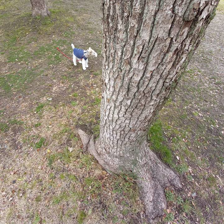 93e753bb f57c 4950 8f39 56c523bb6f31 1615157618097