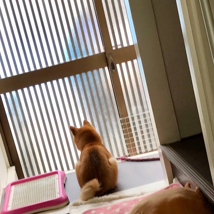 93e7560e 944b 4aeb 99cc 55ba780465ef 1523939519698